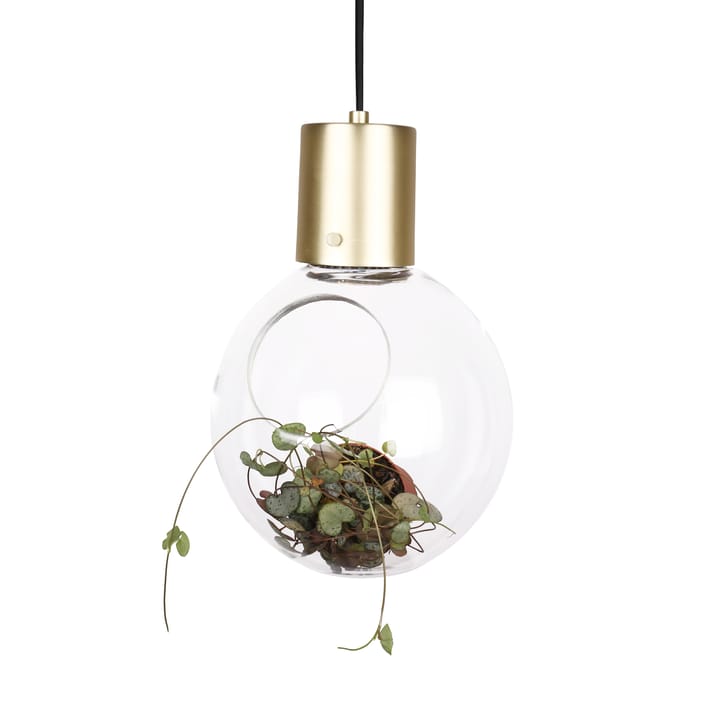Lámpara de techo o pared Mini Hole - transparente-latón - Globen Lighting