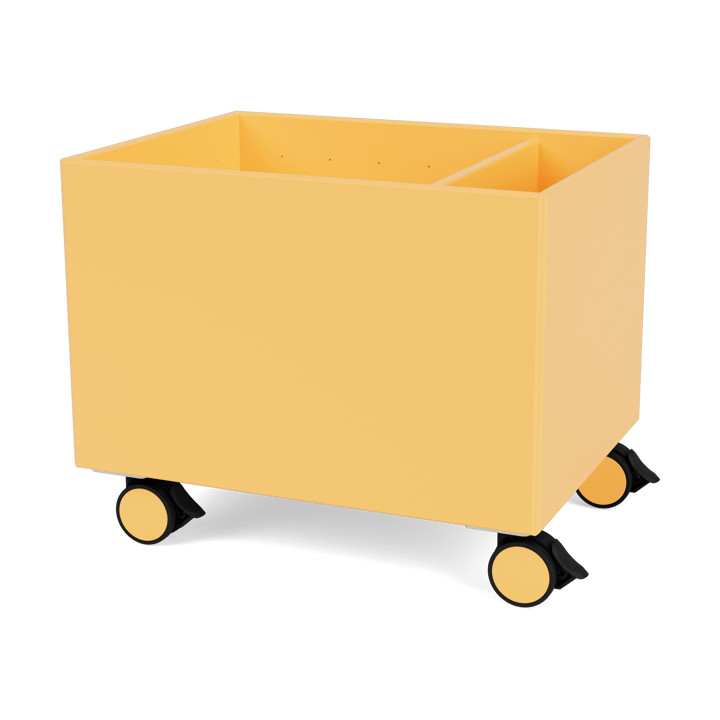 Caja de almacenaje Colour Box II - Acacia - Montana