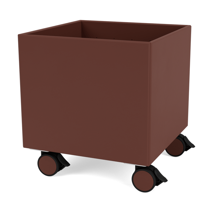 Colour Box I – S6161 - Masala - Montana