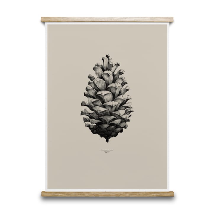 Lámina 1:1 Pine Cone - sand, 50 x 70 cm - Paper Collective